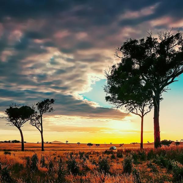 Applying big data beyond small problems in climate Research