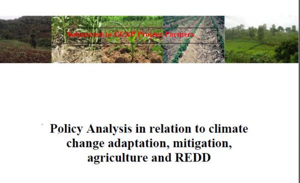 Policy Analysis in relation to climate change adaptation, mitigation, agriculture and REDD