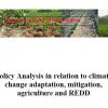 Policy Analysis in relation to climate change adaptation, mitigation, agriculture and REDD